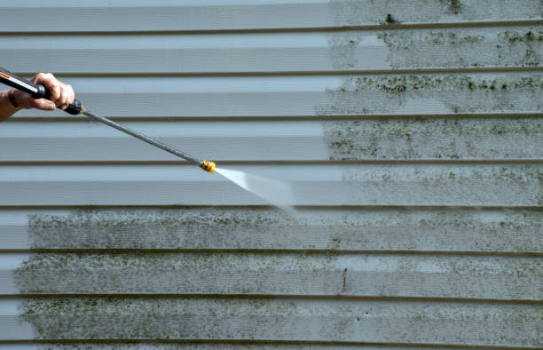 Best Commercial Pressure Washing  in Blue Mountain, MS